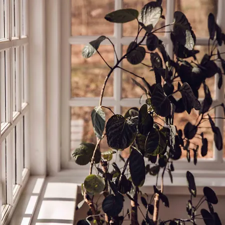 Hotel Arnbjerg Pavillonen 3*