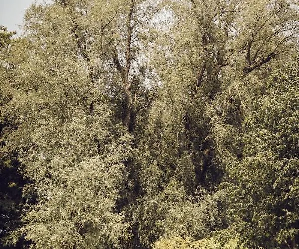 Arnbjerg Pavillonen 3*